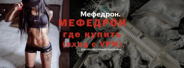 индика Богданович