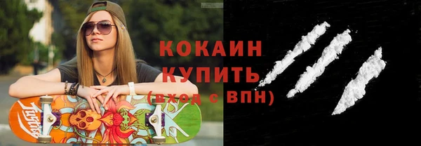 кокс Богородицк