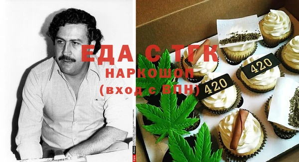 индика Богданович