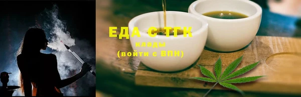 индика Богданович