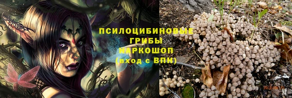 индика Богданович